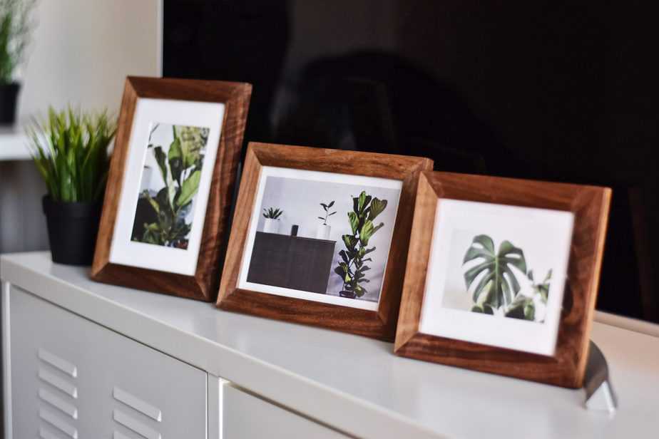 three plant photos on white metal cabinet